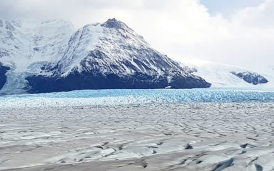 Laboratorios Naturales Subantárticos: oportunidades y desafíos para la Ciencia en la Región de Aysén y Magallanes .