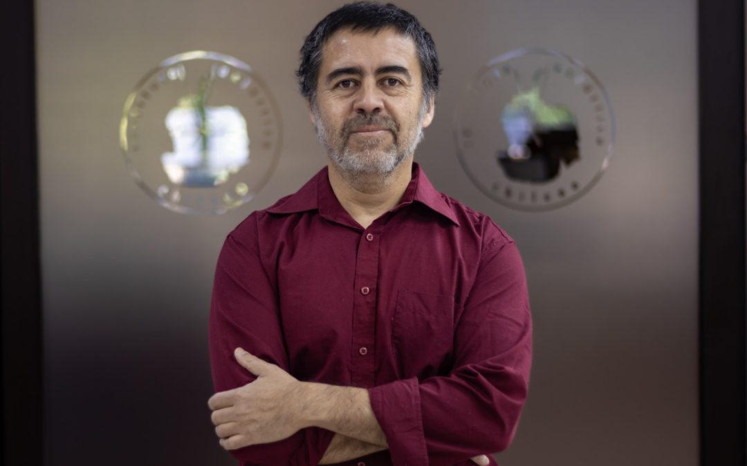 Lo que el bosque revela cuando aprendemos a mirar