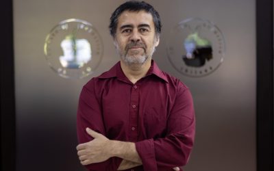 Lo que el bosque revela cuando aprendemos a mirar