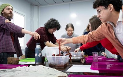Herbarios Análogos: arte, ciencia comunitaria y colecciones biológicas para reconocer la biodiversidad invisible